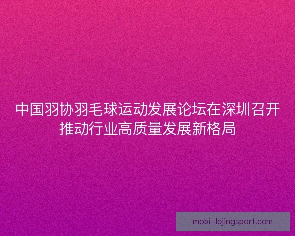 中国羽协羽毛球运动发展论坛在深圳召开推动行业高质量发展新格局
